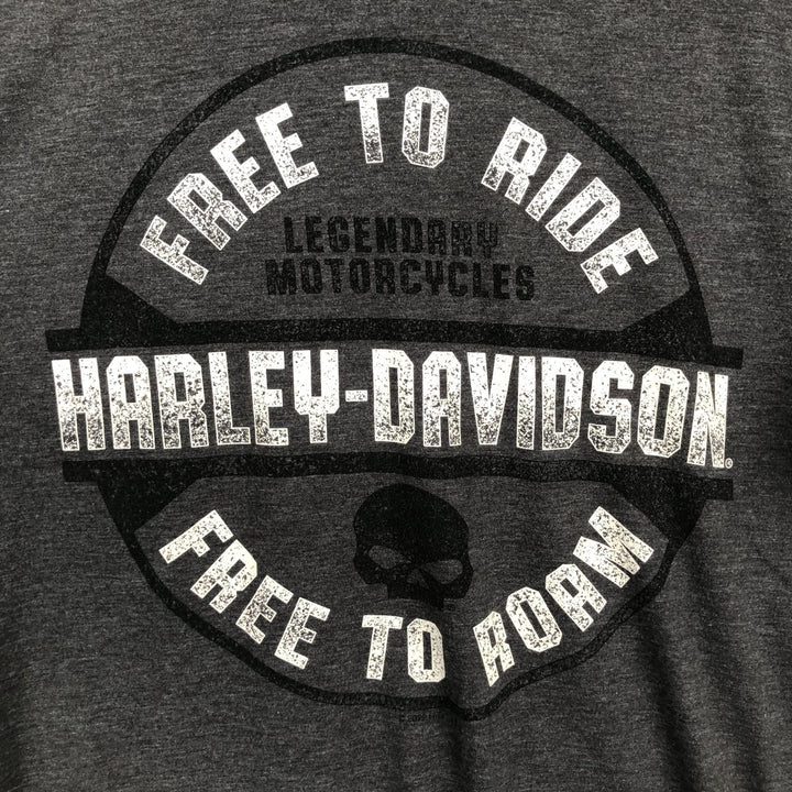 Harley-Davidson Skull Pattern Motorcycle Bike T-shirt Men's XL cotton gray type Vintage Second Hand