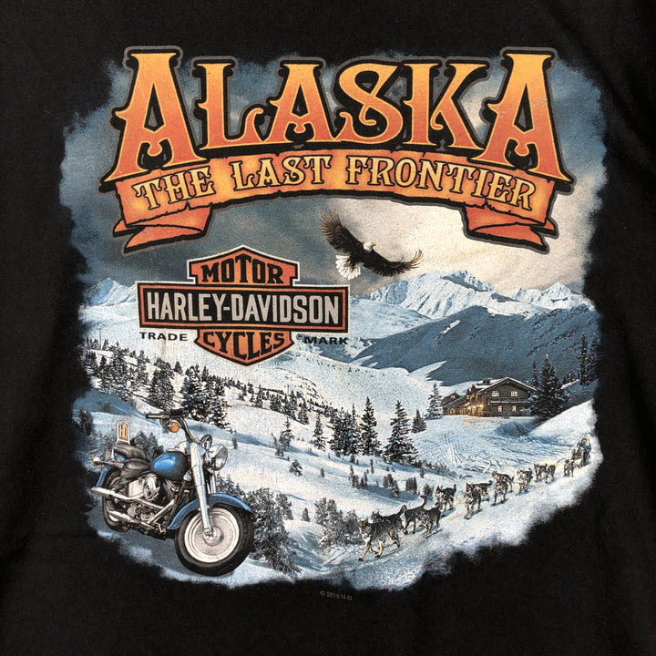 Harley-Davidson Motorcycle Bike T-shirt, Men's Size L cotton black type Vintage Second Hand
