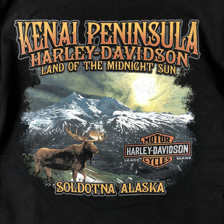 Harley-Davidson Motorcycle Bike T-shirt, Men's Size L cotton black type Vintage Second Hand