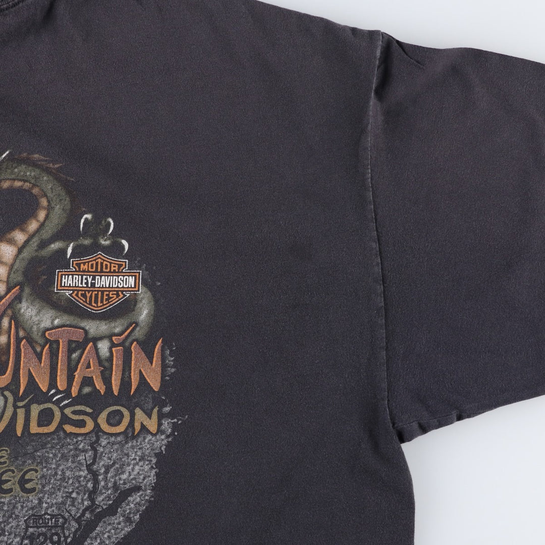 2000'S Harley-Davidson Motorcycle T-Shirt, Size 2X-LARGE (Men's XXL equivalent) cotton black type Vintage Second Hand