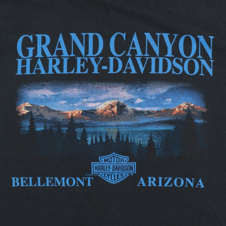 Harley-Davidson Motorcycle Bike T-shirt Made in USA Men's XXL cotton black type Vintage Second Hand