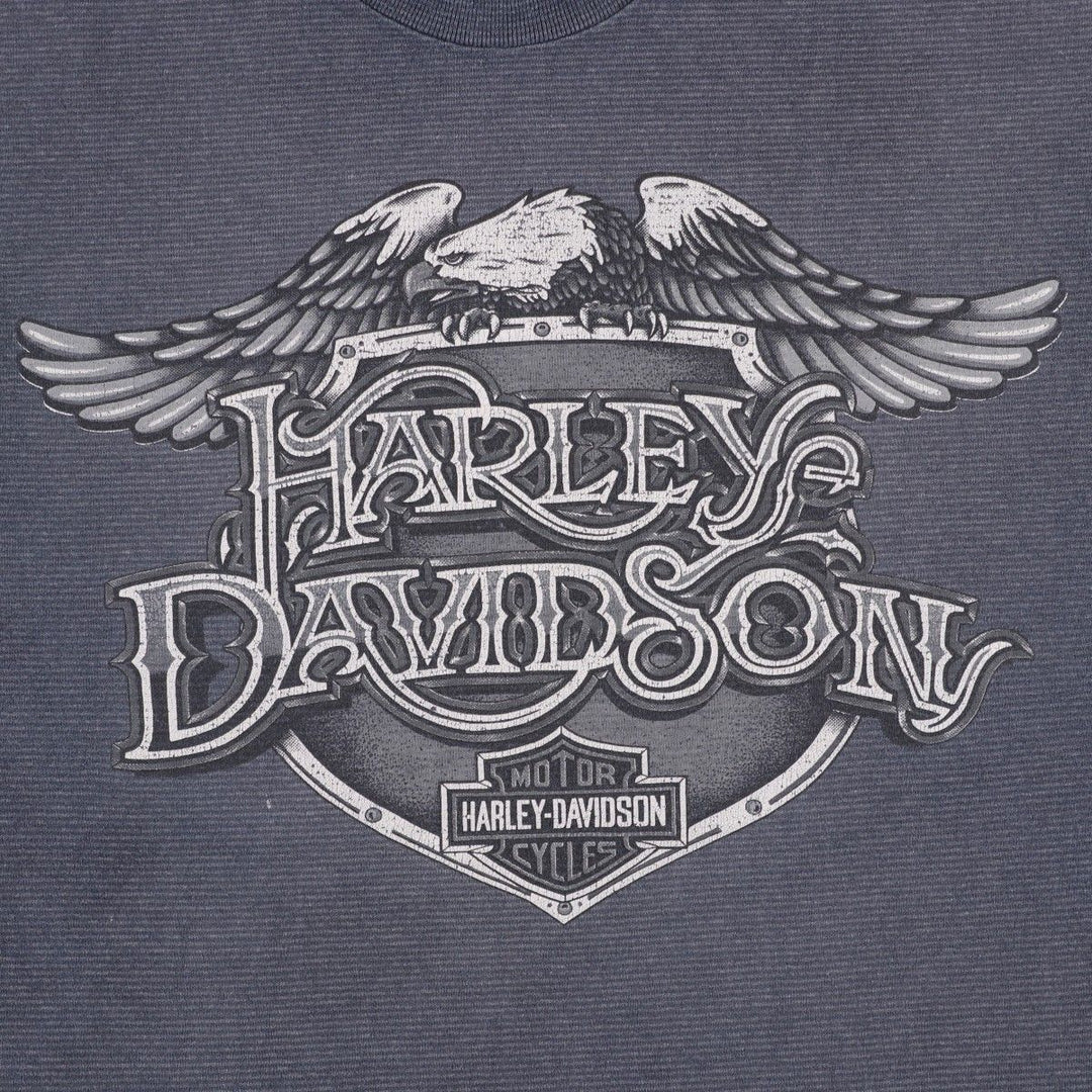 Harley-Davidson Eagle Pattern Border Pattern Motorcycle T-Shirt, Made in USA, Men's XL (approx.) cotton Charcoal Vintage Second Hand
