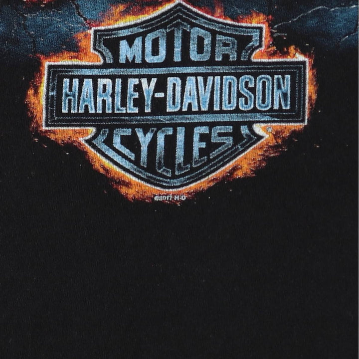 Harley-Davidson Skull Pattern Motorcycle Bike T-shirt Men's L size cotton black type Vintage Second Hand