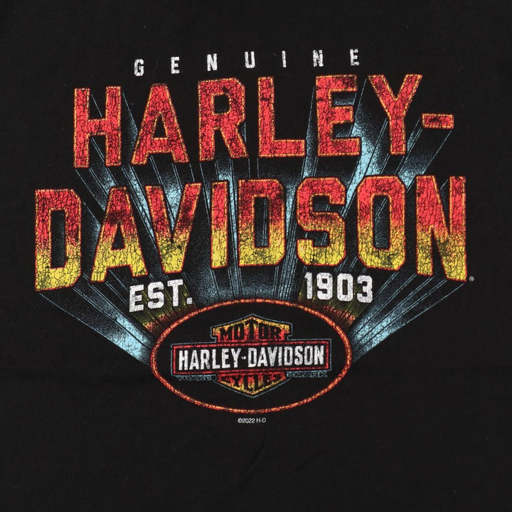 Harley-Davidson Motorcycle Bike T-shirt, Men's XL size unclear black type Vintage Second Hand