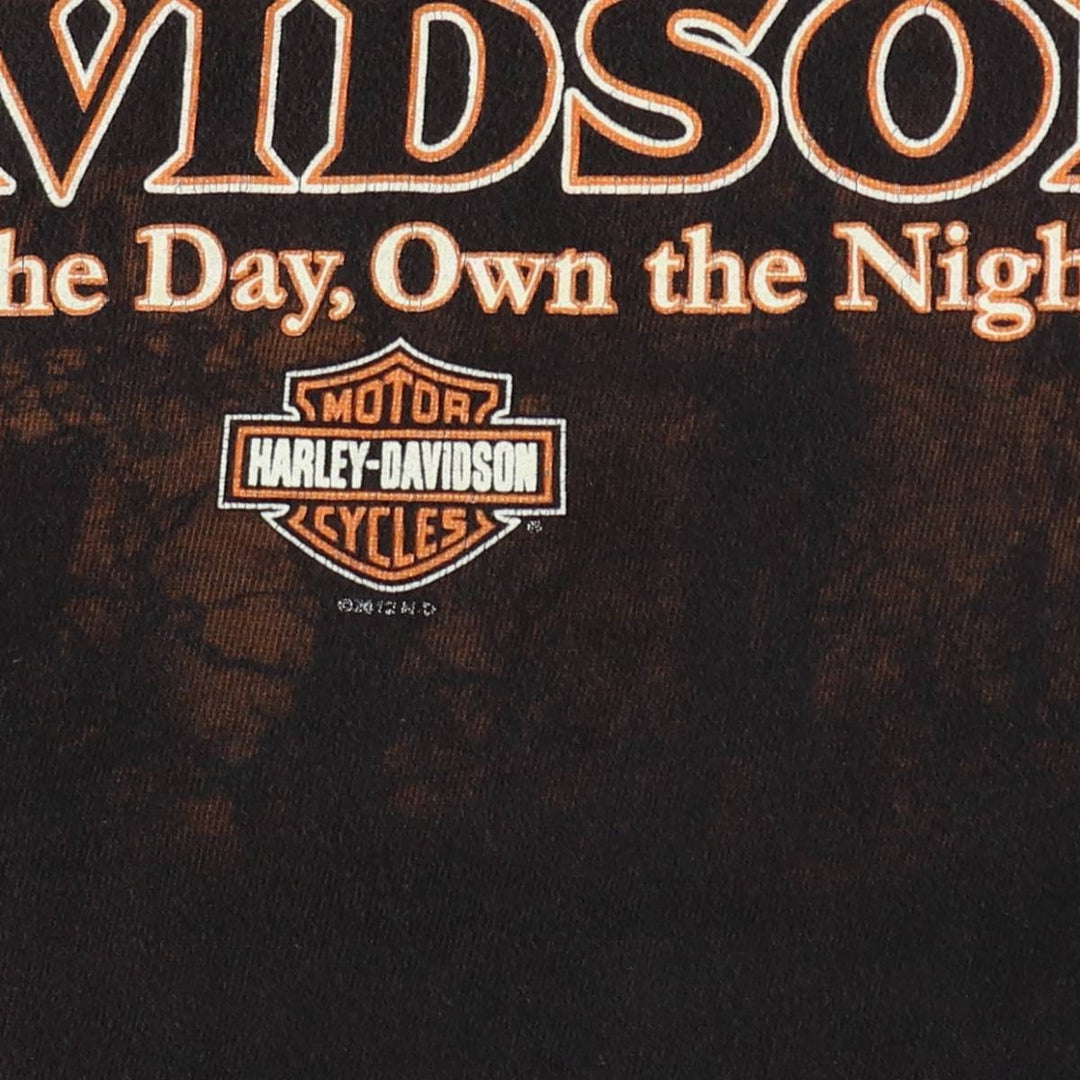 Harley-Davidson Skull Pattern Motorcycle Bike T-shirt Men's M size cotton black type Vintage Second Hand