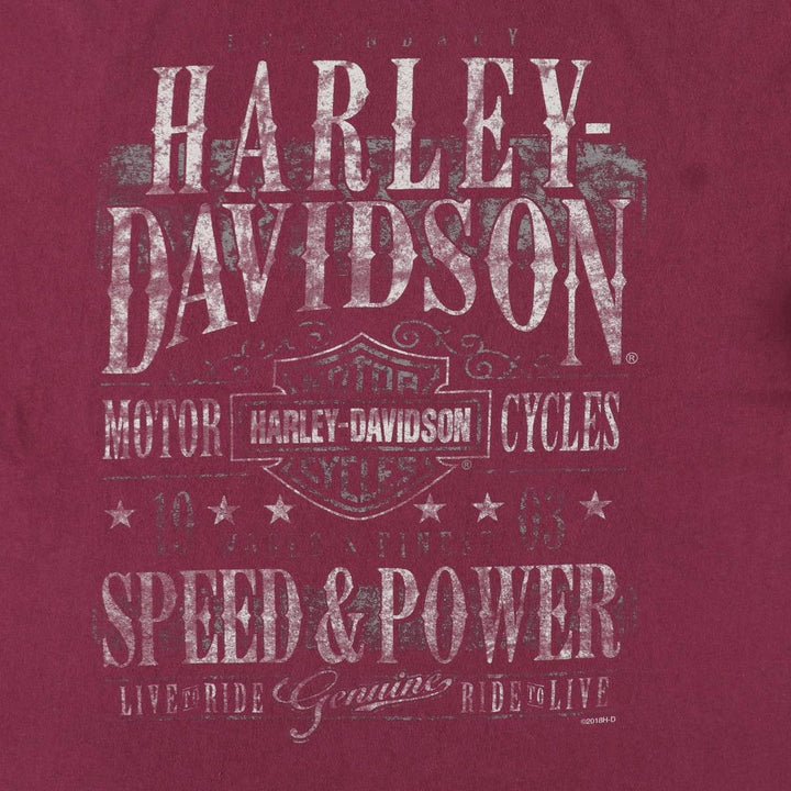 Harley-Davidson Motorcycle Bike T-shirt, Men's Size L cotton Red type red-purple Vintage Second Hand
