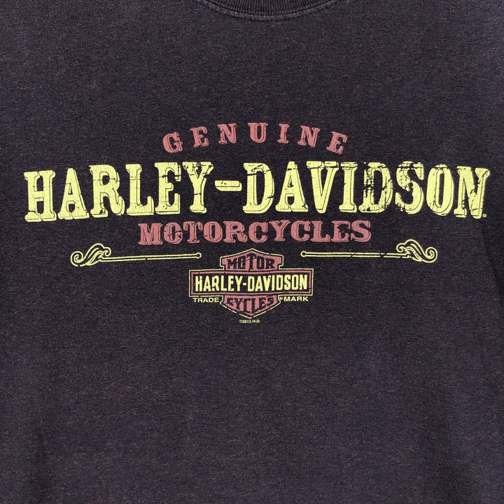 Harley-Davidson Motorcycle Bike T-shirt, Men's XXL cotton brown type Vintage Second Hand