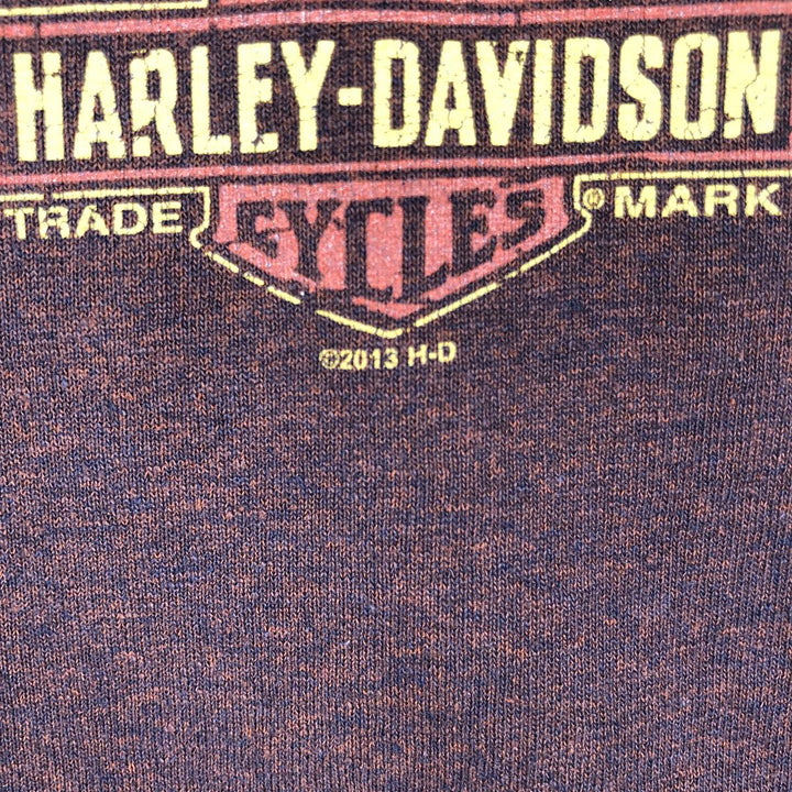 Harley-Davidson Motorcycle Bike T-shirt, Men's XXL cotton brown type Vintage Second Hand