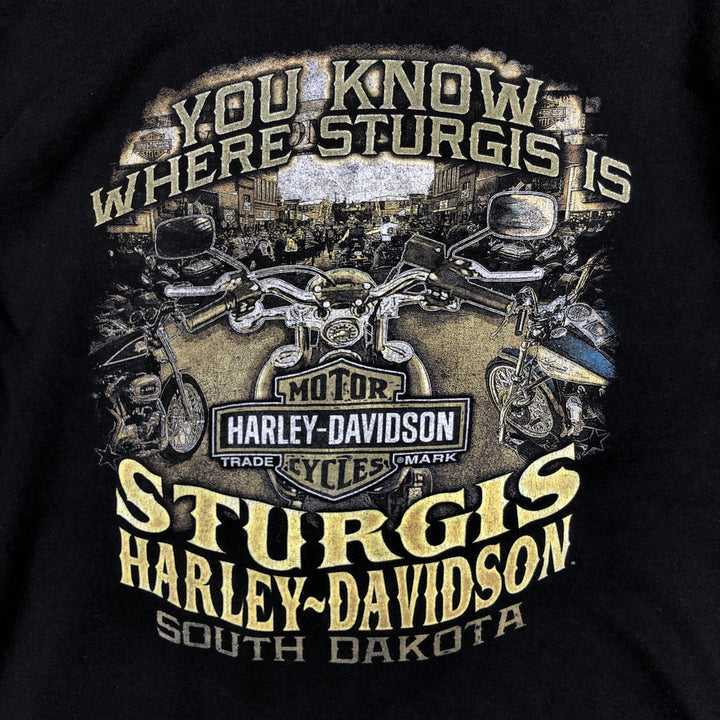 Harley-Davidson Motorcycle Bike T-shirt, Men's XL size cotton black type Vintage Second Hand