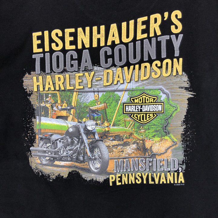 Harley-Davidson Motorcycle Bike T-shirt, Men's Size L cotton black type Vintage Second Hand