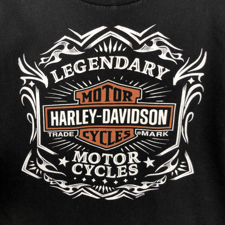 Harley-Davidson Motorcycle Bike T-shirt, Men's Size L cotton black type Vintage Second Hand