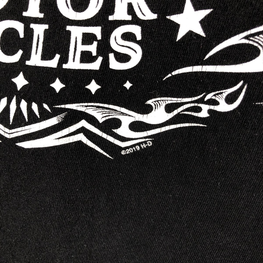 Harley-Davidson Motorcycle Bike T-shirt, Men's Size L cotton black type Vintage Second Hand