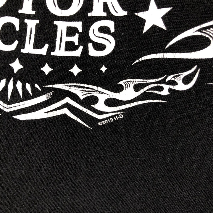 Harley-Davidson Motorcycle Bike T-shirt, Men's Size L cotton black type Vintage Second Hand