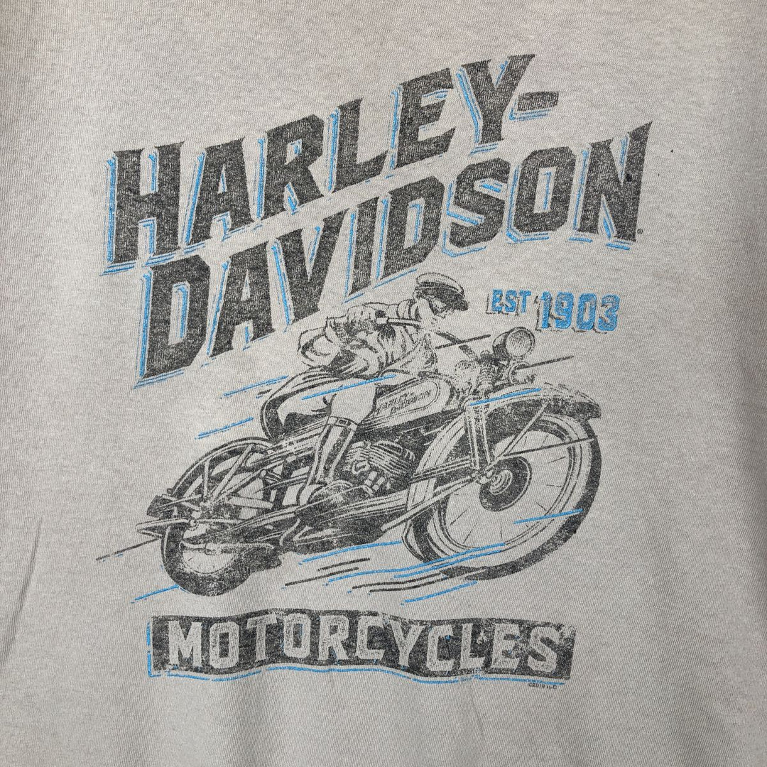 Harley-Davidson Motorcycle Bike T-shirt, Men's Size L cotton unbleached Vintage Second Hand
