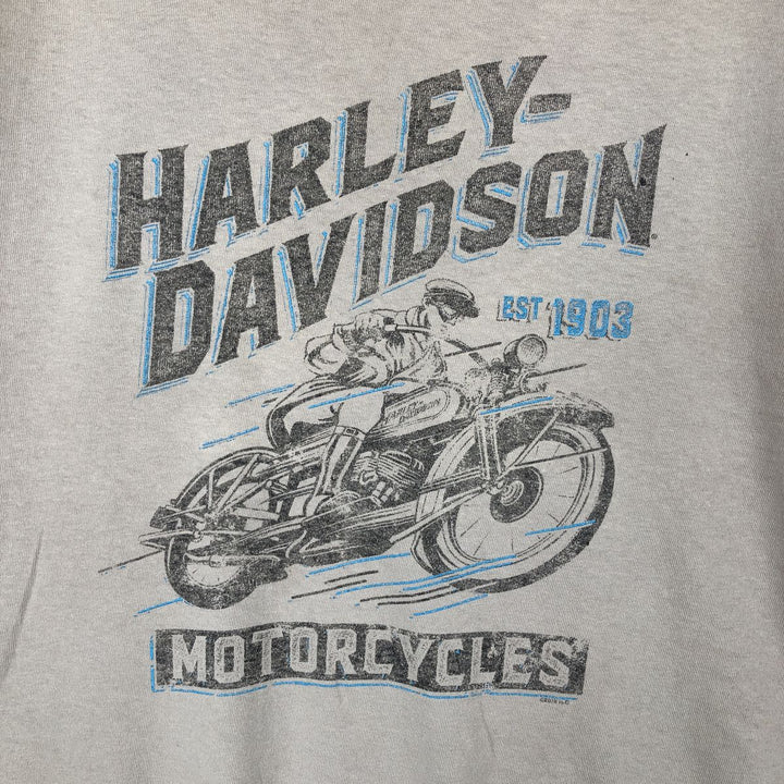 Harley-Davidson Motorcycle Bike T-shirt, Men's Size L cotton unbleached Vintage Second Hand