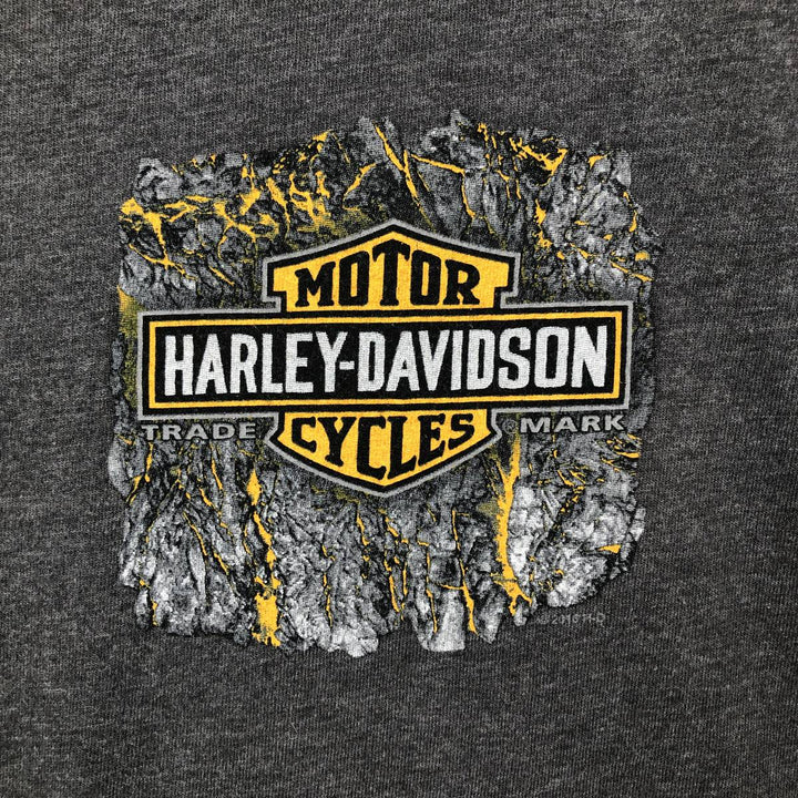 Harley-Davidson Motorcycle Bike T-shirt, Men's Size L cotton Charcoal Vintage Second Hand