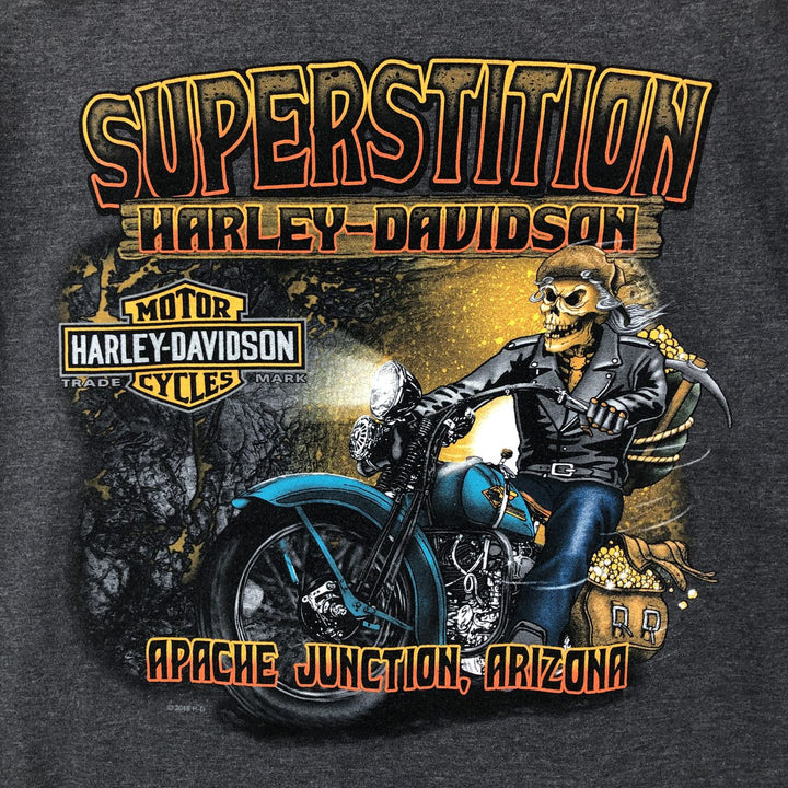 Harley-Davidson Motorcycle Bike T-shirt, Men's Size L cotton Charcoal Vintage Second Hand