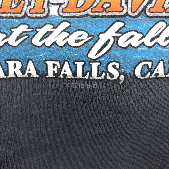 Harley-Davidson Motorcycle Bike T-shirt, Men's XXL cotton Charcoal Vintage Second Hand