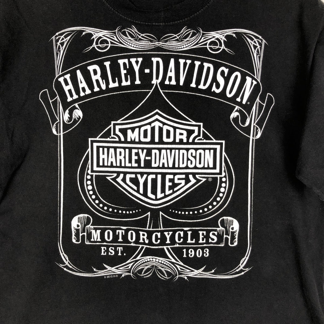Harley-Davidson Fire Pattern Motorcycle Bike T-Shirt Men's XL unclear black type Vintage Second Hand