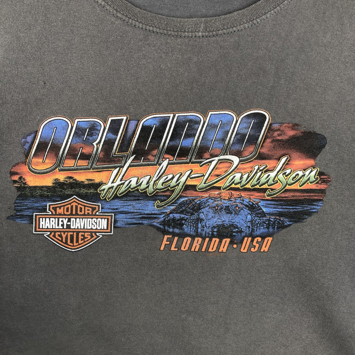 Harley-Davidson Motorcycle Bike T-shirt, Men's XL size cotton Charcoal Vintage Second Hand