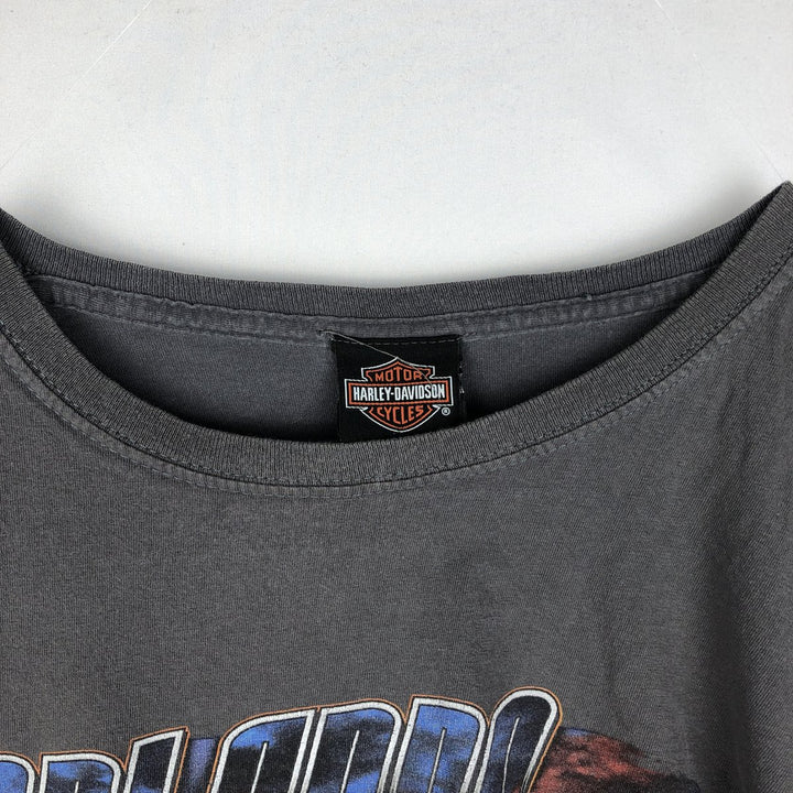 Harley-Davidson Motorcycle Bike T-shirt, Men's XL size cotton Charcoal Vintage Second Hand