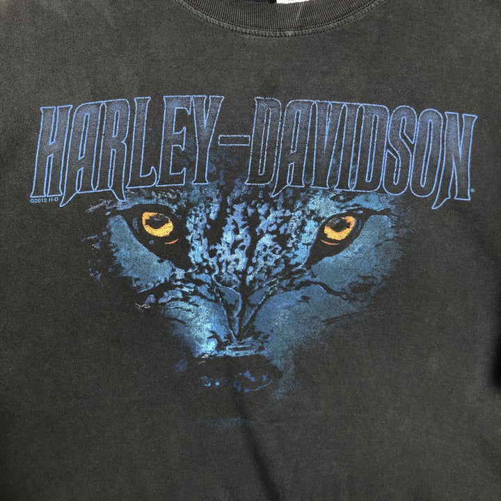 Harley-Davidson Eagle Pattern Motorcycle T-Shirt, Men's XXL (approx.) cotton black type Vintage Second Hand