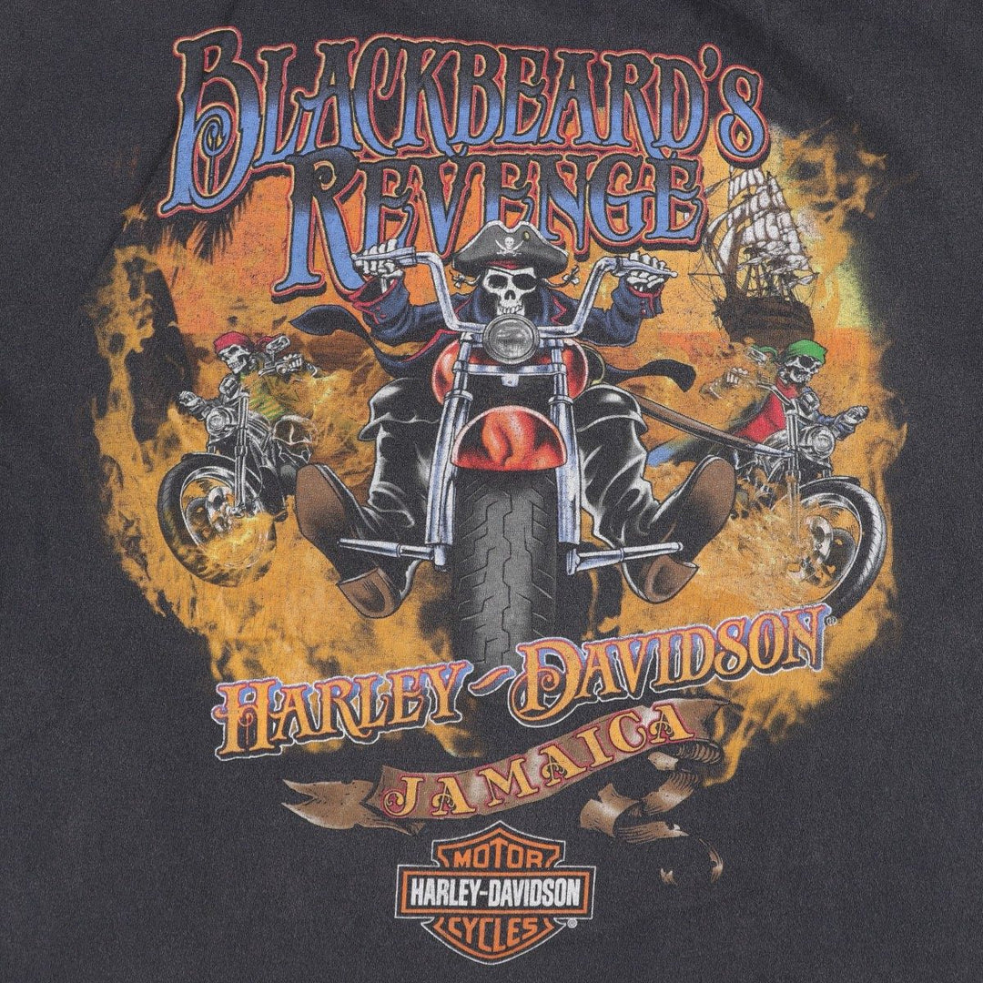 Harley-Davidson Skull Pattern Motorcycle Bike T-shirt Men's L size cotton black type Vintage Second Hand