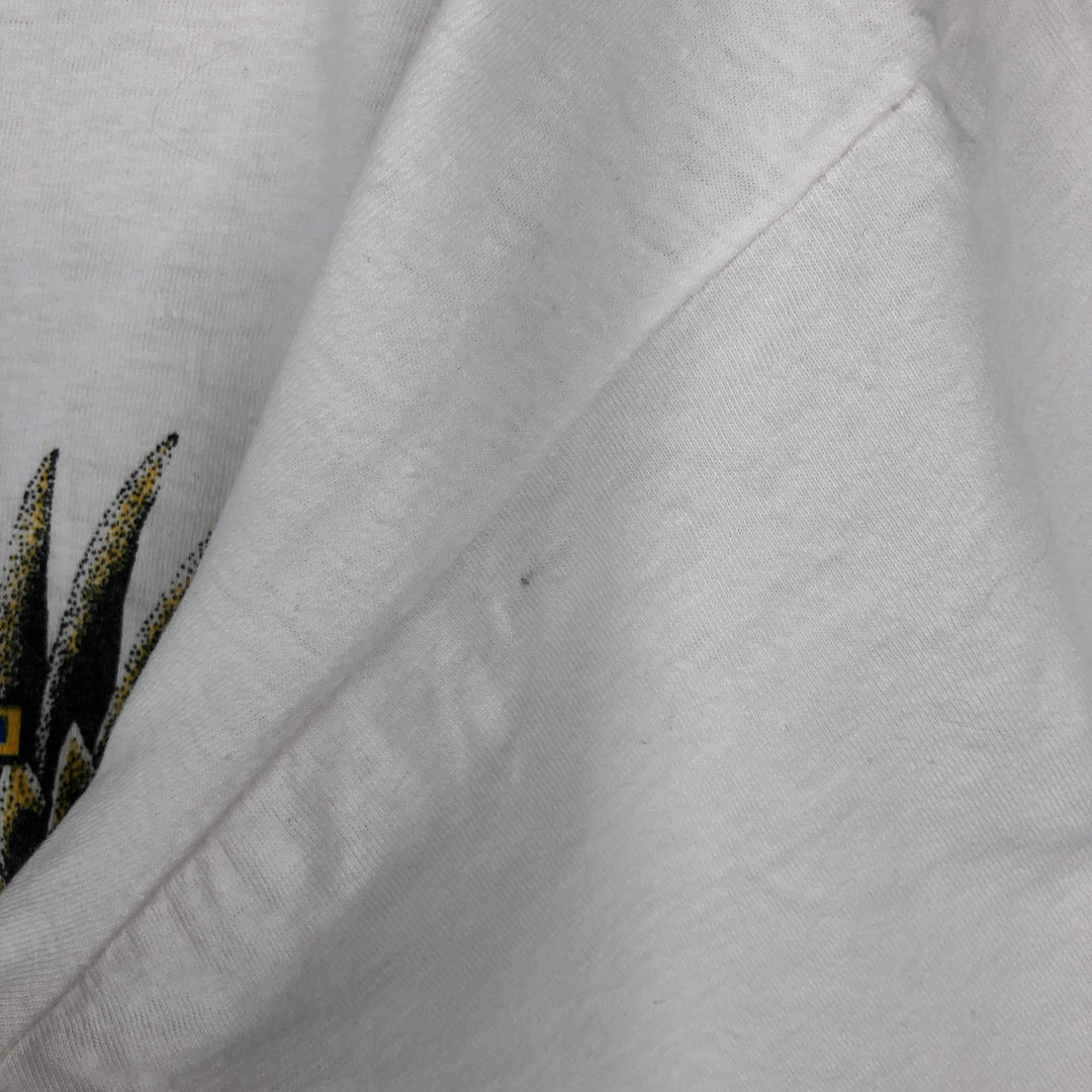Eagle Pattern Stars and Stripes Print T-Shirt, Men's XL (approx.) cotton white type Vintage Second Hand