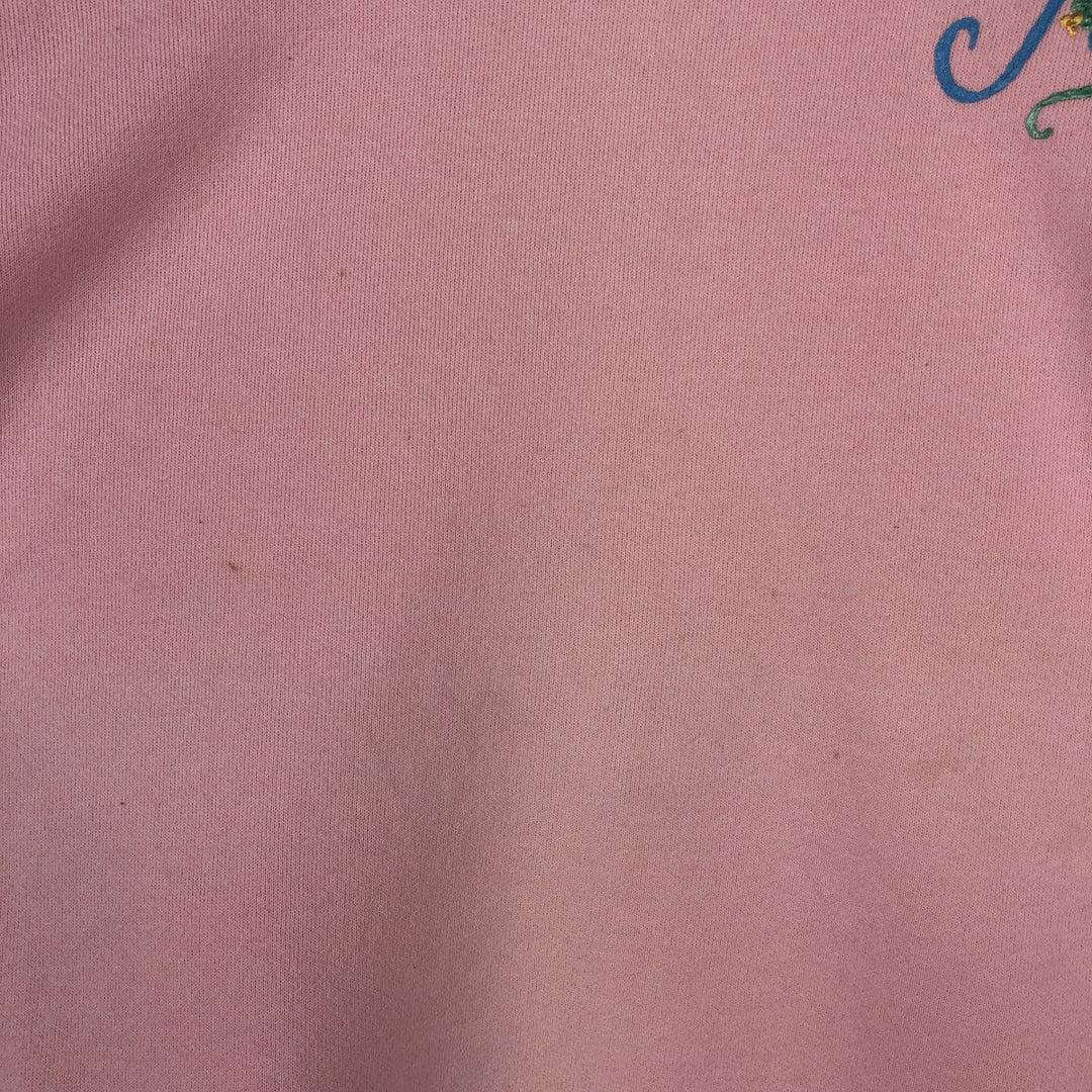 1980'S Hanes Blue Tag Printed Sweatshirt, Made in USA, Women's Size L (Equivalent), Vintage cotton pink type Vintage Second Hand