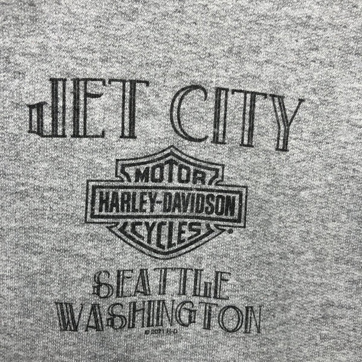 Harley-Davidson Advertising Pullover Hoodie, Men's Size Small cotton gray type Vintage Second Hand
