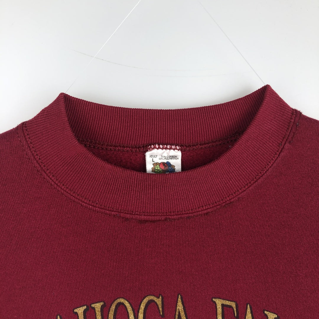 90'S Fruit of the Loom College Sweatshirt, Made in USA, Men's Size L, Vintage cotton red type Vintage Second Hand