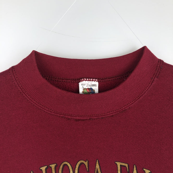 90'S Fruit of the Loom College Sweatshirt, Made in USA, Men's Size L, Vintage cotton red type Vintage Second Hand