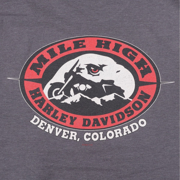 Harley-Davidson Eagle Pattern Motorcycle Bike T-shirt Men's L size cotton gray type Vintage Second Hand