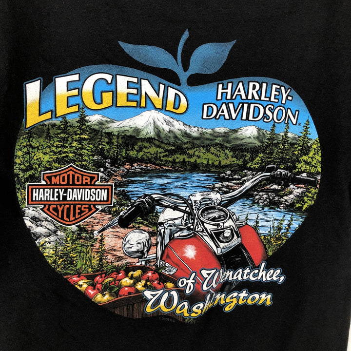 00'S Harley-Davidson Motorcycle Bike T-shirt Made in USA Men's M size cotton black type Vintage Second Hand