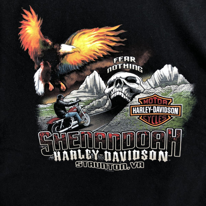Harley-Davidson Skull Pattern Eagle Pattern Motorcycle T-Shirt Men's XXL Equivalent cotton black type Vintage Second Hand
