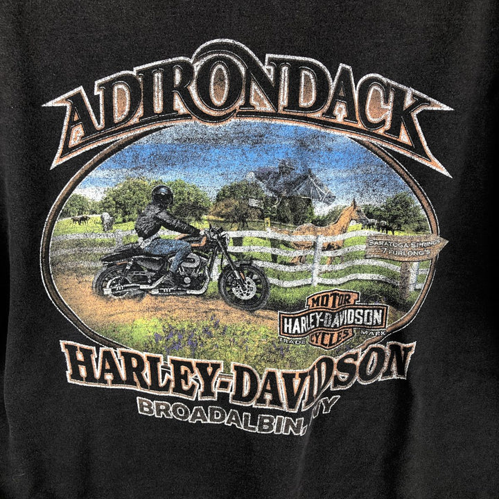 Harley-Davidson Skull Pattern Eagle Pattern Motorcycle T-Shirt Men's XXL Equivalent cotton black type Vintage Second Hand