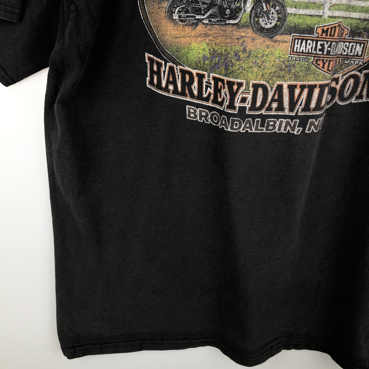 Harley-Davidson Skull Pattern Eagle Pattern Motorcycle T-Shirt Men's XXL Equivalent cotton black type Vintage Second Hand