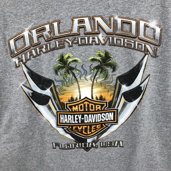 Harley-Davidson Motorcycle Bike T-shirt, Men's XL size unclear gray type Vintage Second Hand
