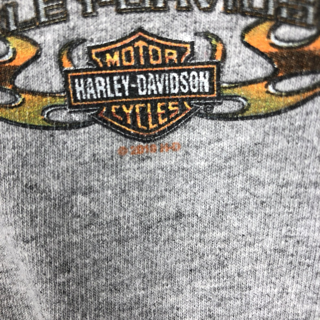 Harley-Davidson Motorcycle Bike T-shirt, Men's XL size unclear gray type Vintage Second Hand