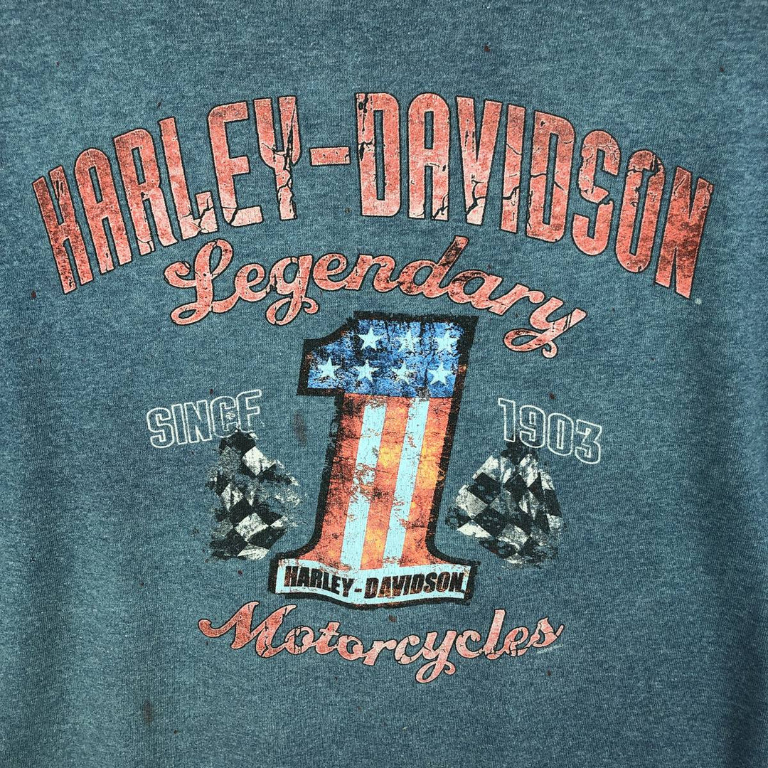 Harley-Davidson Stars and Stripes Motorcycle T-Shirt, Men's Size L cotton Blue type light blue Vintage Second Hand