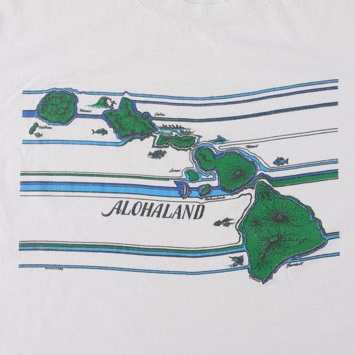 1980'S Hanes souvenir T-shirt, made in USA, men's size L equivalent, vintage. cotton white type Vintage Second Hand