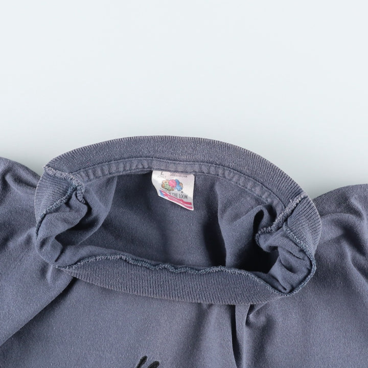 90'S Fruit of the Loom printed T-shirt, made in the USA, men's size L, vintage cotton blue type Vintage Second Hand