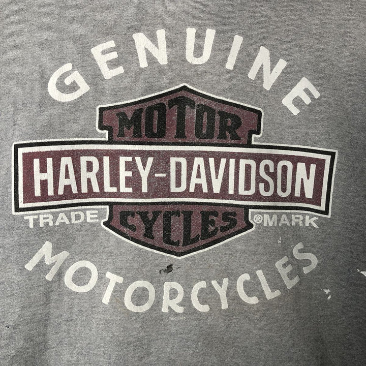 Harley-Davidson Advertising Pullover Hoodie, Men's XXL unclear gray type Vintage Second Hand