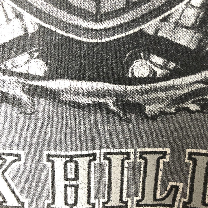 Harley-Davidson Advertising Pullover Hoodie, Men's XXL unclear gray type Vintage Second Hand