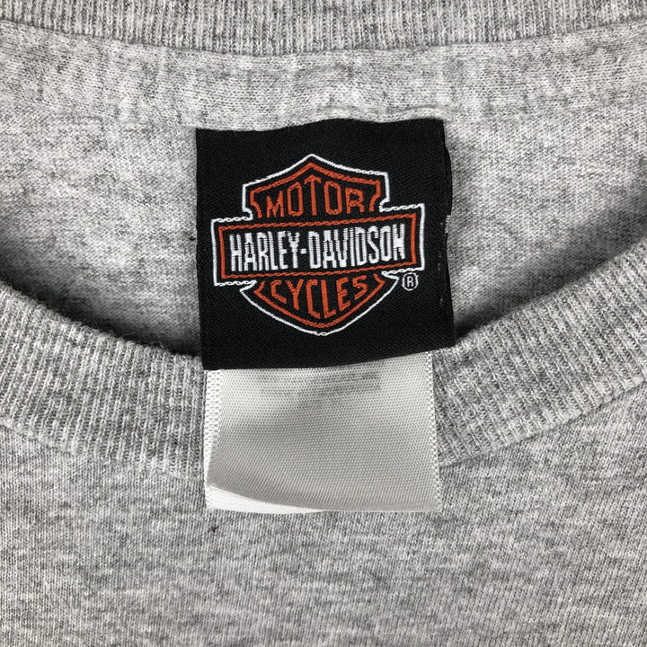 Harley-Davidson American flag pattern motorcycle long-sleeved T-shirt, men's size XL equivalent. unclear gray type Vintage Second Hand