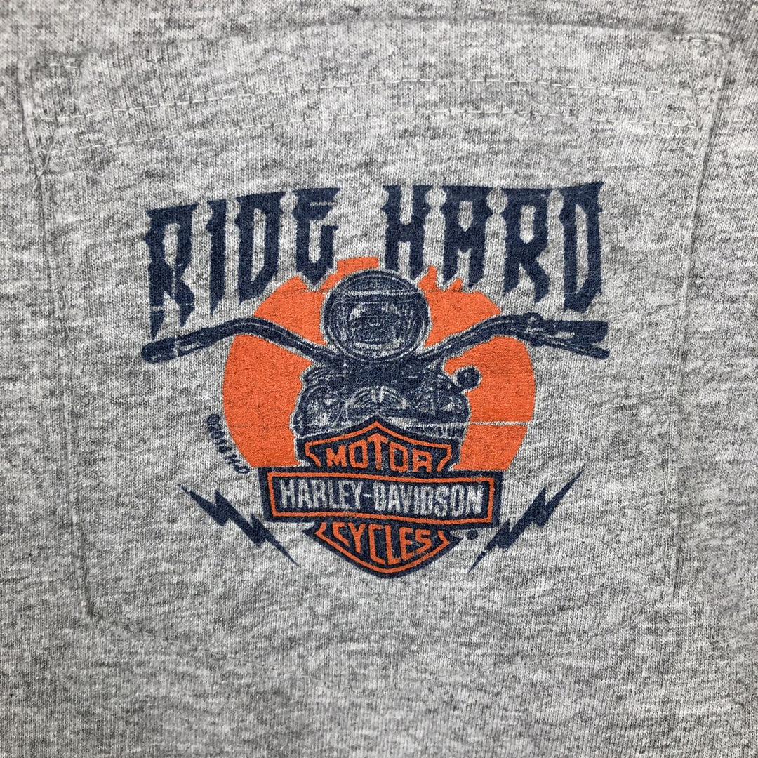Harley-Davidson American flag pattern motorcycle long-sleeved T-shirt, men's size XL equivalent. unclear gray type Vintage Second Hand