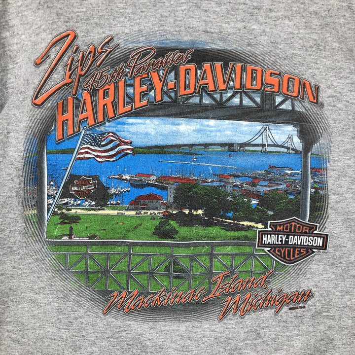 Harley-Davidson American flag pattern motorcycle long-sleeved T-shirt, men's size XL equivalent. unclear gray type Vintage Second Hand