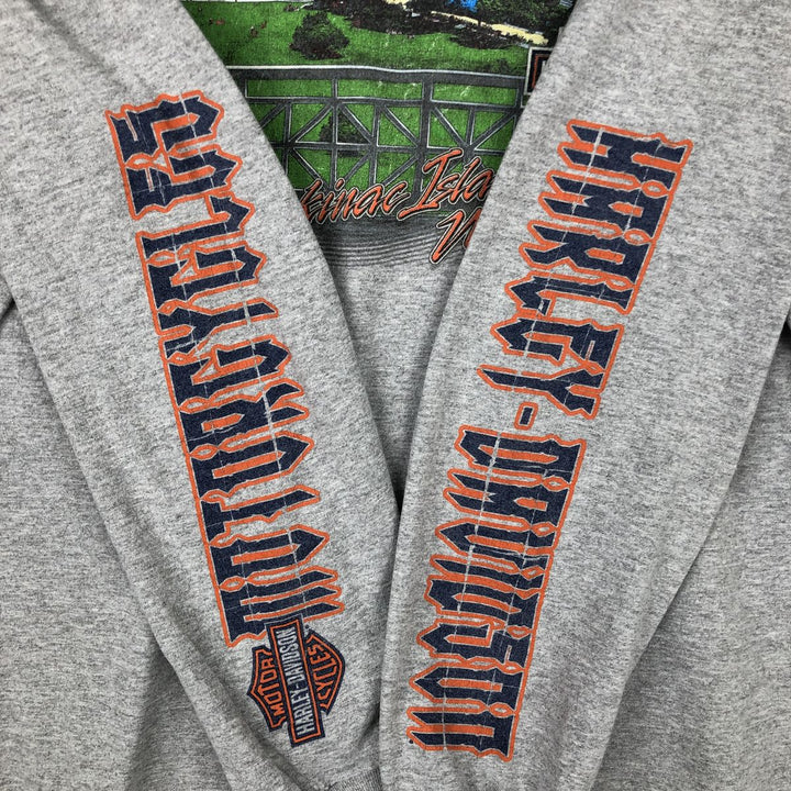 Harley-Davidson American flag pattern motorcycle long-sleeved T-shirt, men's size XL equivalent. unclear gray type Vintage Second Hand