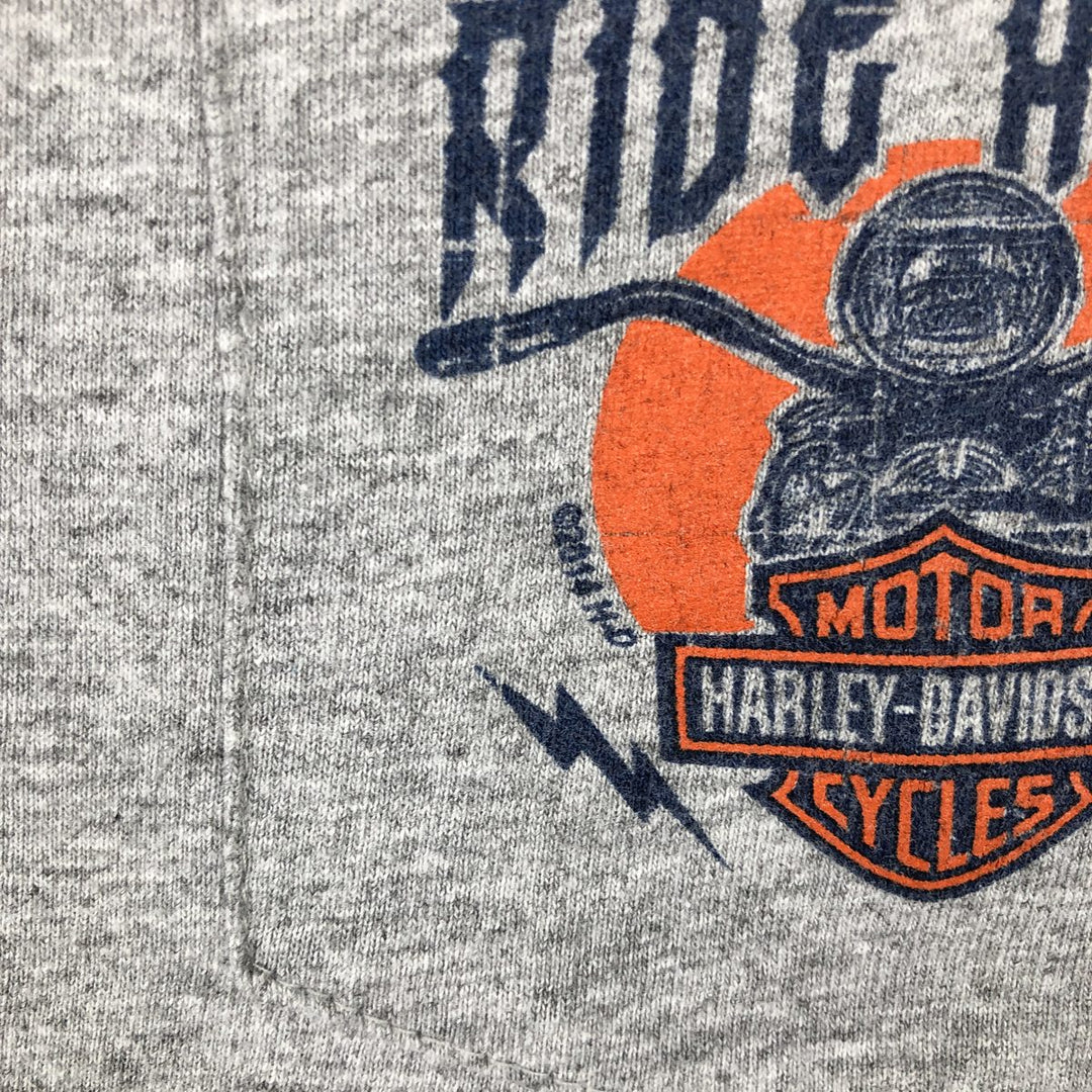 Harley-Davidson American flag pattern motorcycle long-sleeved T-shirt, men's size XL equivalent. unclear gray type Vintage Second Hand