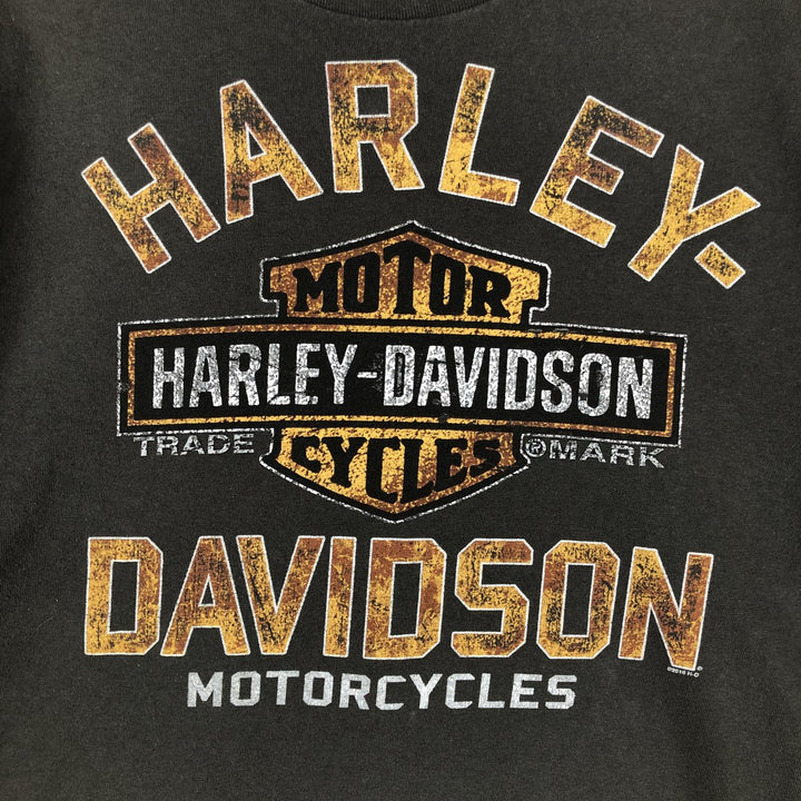 Harley-Davidson Skull Pattern Long T-shirt, Men's L size cotton Charcoal Vintage Second Hand